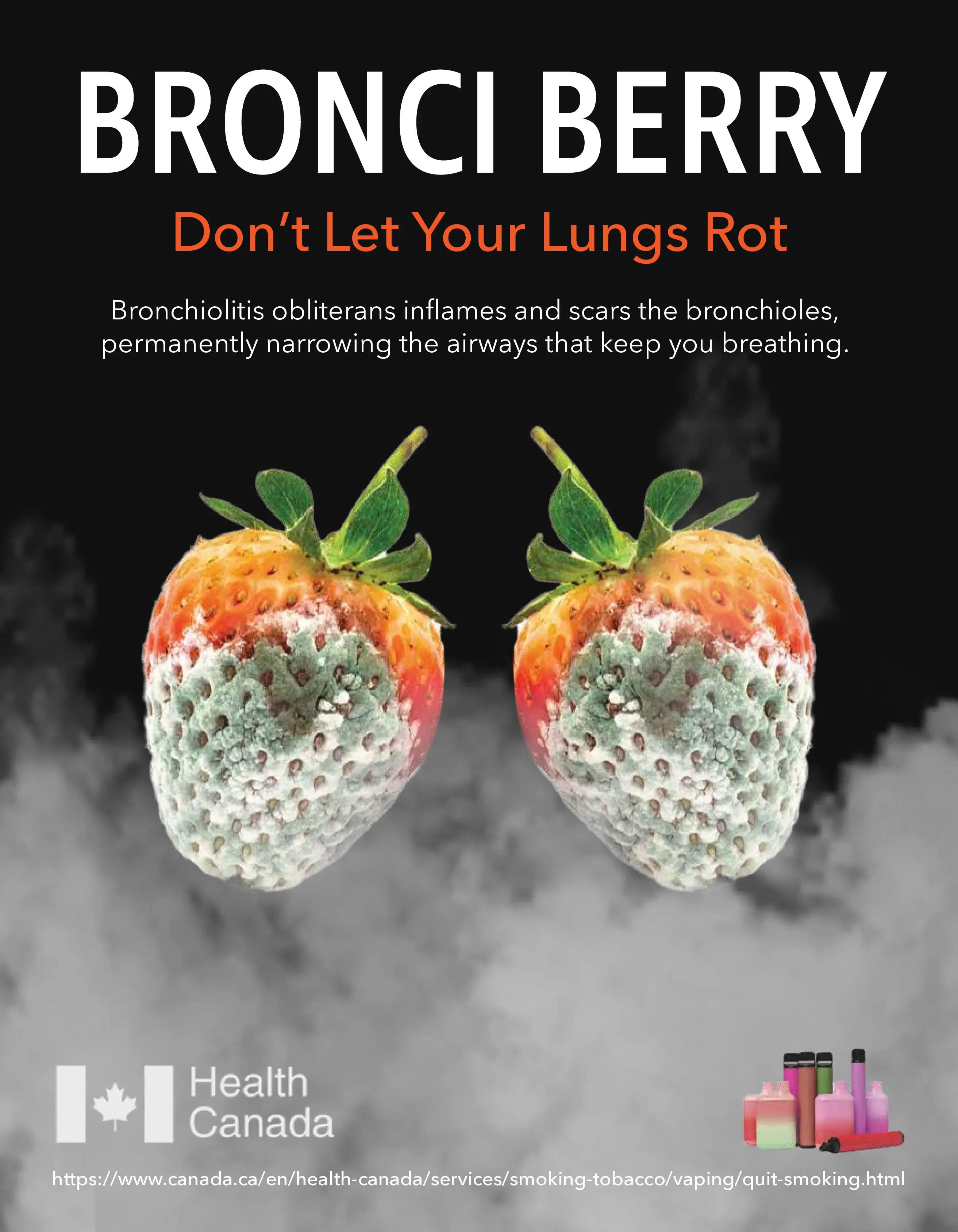 Gallery image 1 for Don’t Let Your Lungs Rot | Anti-Vape Campaign