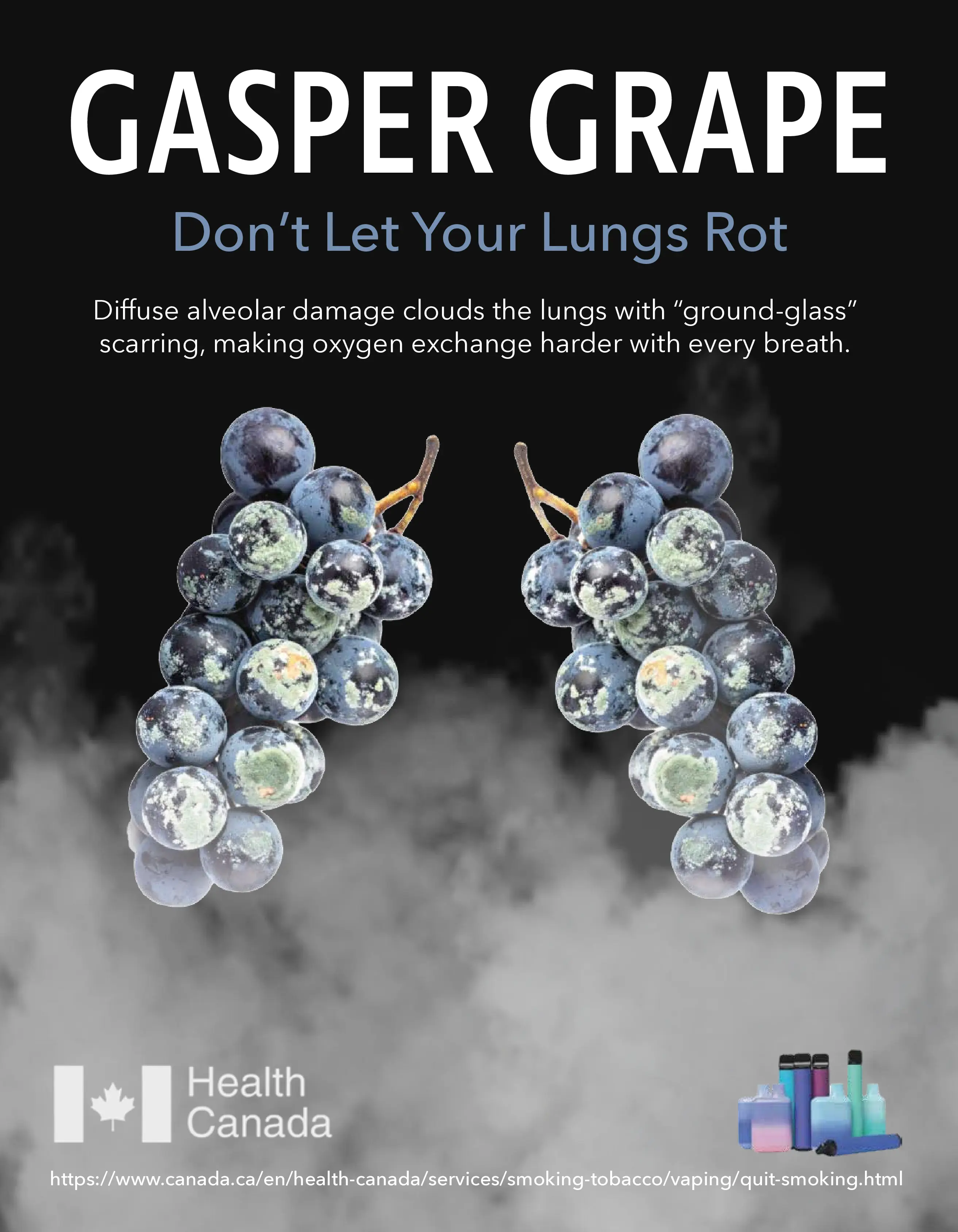 Gallery image 3 for Don’t Let Your Lungs Rot | Anti-Vape Campaign