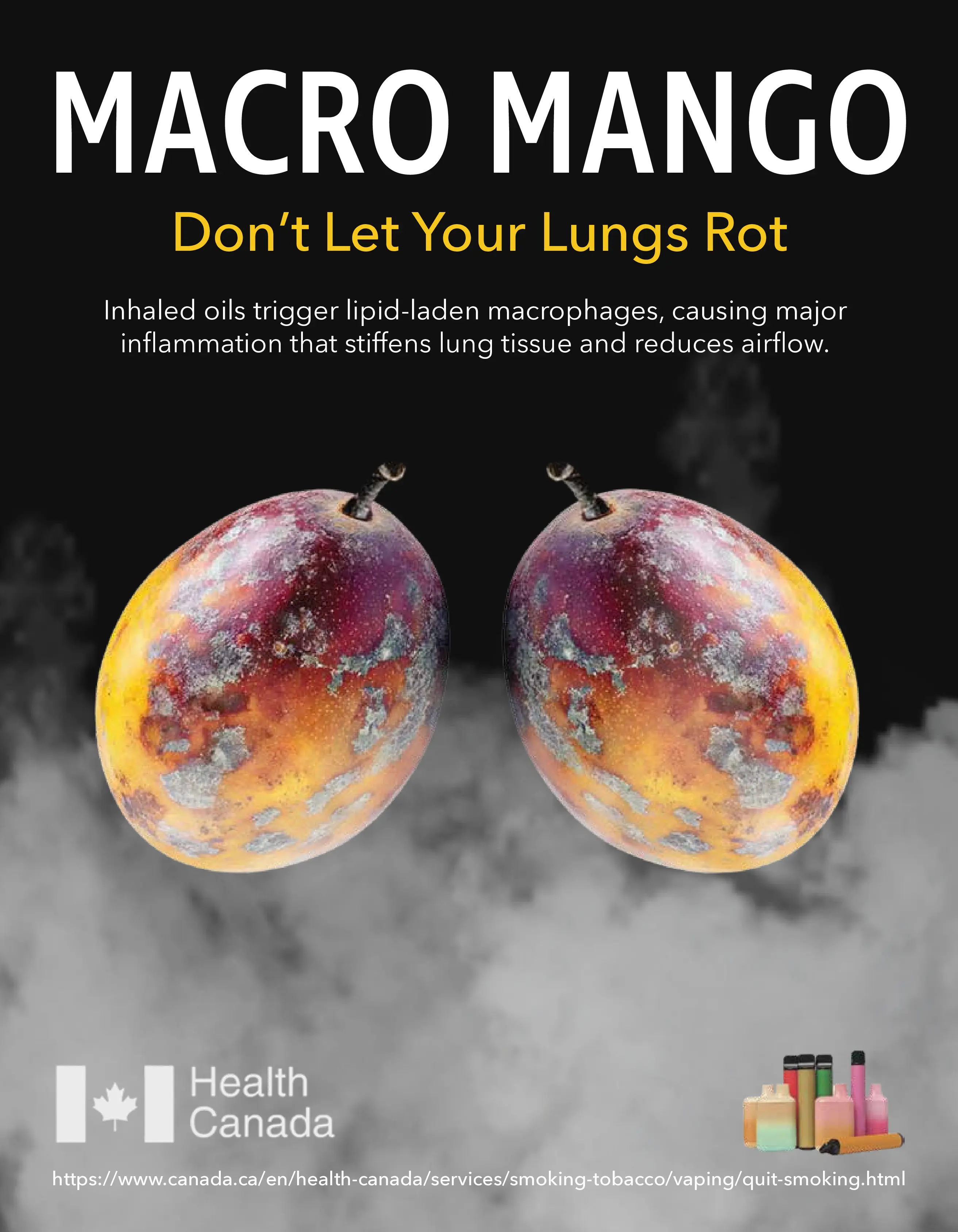 Gallery image 2 for Don’t Let Your Lungs Rot | Anti-Vape Campaign